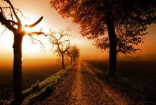 mmp - misty mistery path.jpg